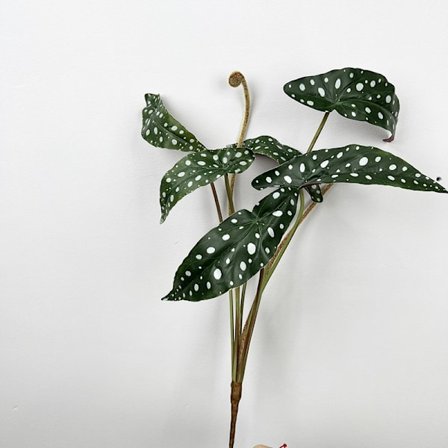 Begonia Plantevegg med Snøfnuggblad og Vann Taro Faux Dekor