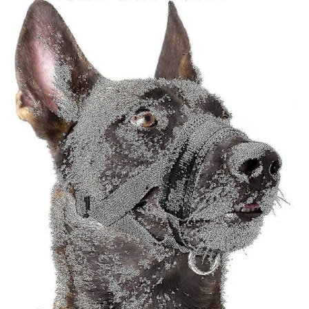 Nylon Blød Hundekurv XL Størrelse Sort Anti-bid Anti-gø Anti-tyg Justerbar Halsrem Rød L