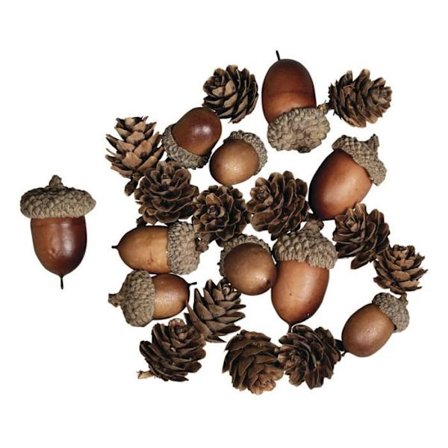 Acorn cones Mix, assorterad 2 - 4 cm, 27 st