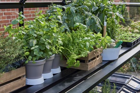 Halls F03842 Växthusbord till Cube 66, svart, 3 sektioner, Växthus & orangerier