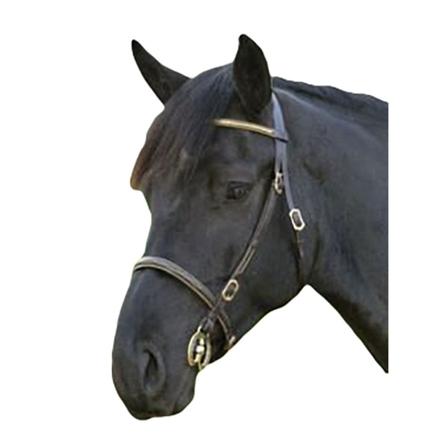 Blenheim Leather Clincher Horse Inhand Träns Shetland Black