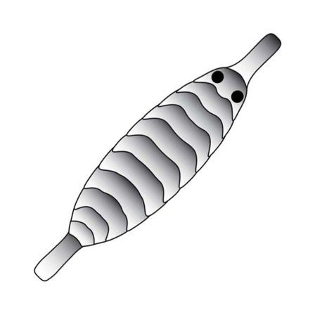 Pro Gammarus Shell Back XS - Black