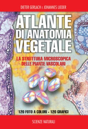 Atlante di anatomia vegetale Dieter Gerlach