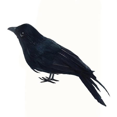 1. Halloween-varis Halloween-koristeeksi