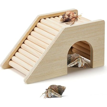 Eremiittirapu Kiipeilylelut Puinen Eremiittirapu Piilopaikka Eremiittirapu