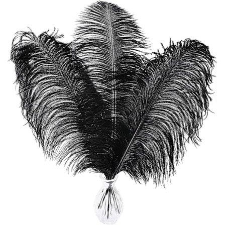 Svarta strutsfjädrar i bulk - 16-18 tum 10 st fjädrar för vas, bröllopsfestens mittpunkter och heminredning (svart)