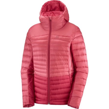 Salomon Women's Haloes Down Hoodie Women middle-layer down jackets Pink L