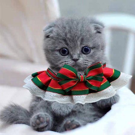 Ny julserie husdjurs slips katt hund slips rosett halsduk katt