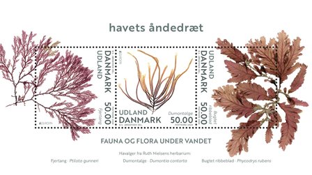 Danmark - EUROPA 2024 Undervandsfauna og -flora UDLAND - Postfrisk miniark