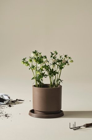 Jotex - Utendørs Gryte Sjokoladebrun - MICHELLE - Kjøp Hagekrukker hos Jotex