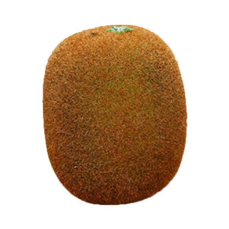 Keinotekoinen hedelmäsimulaatiomalli Vaahto Väärennetty hedelmä Esikoulun opetusmateriaalit Koristeelliset rekvisiitta Kiivi