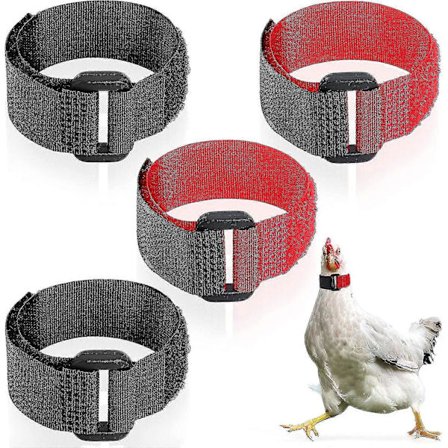 4 stycken tupphalsband, justerbart kycklinghalsband utan kråka, anti-krok nylonbälte, ljudlöst halsband för husdjur, förhindrar kycklingar från att 