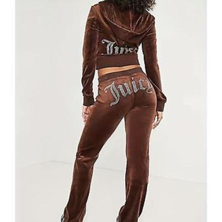 Sammetsjuicy Syset Hoodies Velvet Blixtlås Tröja Och Byxor Set Sportkläder 2024 Dam Vår/höst Tracksuit Crop(S Brun)