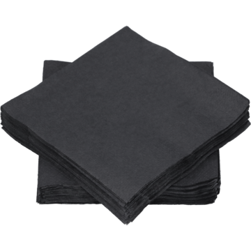 SERVIETTE 2-LAGS SORT 24X24CM