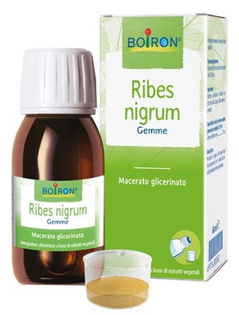 Ribes Nigrum Macerato Glicerinato 60ml