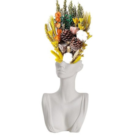 Statyblommavas Ansiktskrukor Huvudformad Hem Kontor