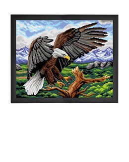 Stramalj Vithövdad havsörn