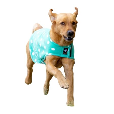 Supreme Products Dotty Fleece Hundtäcke XL-71cm Grön