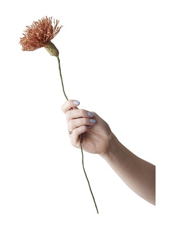 Studio About Paper Flower - Brown - L:42CM