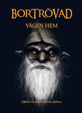 Vägen hem - Bok av Vilhelm Sundbom - Kartonnage