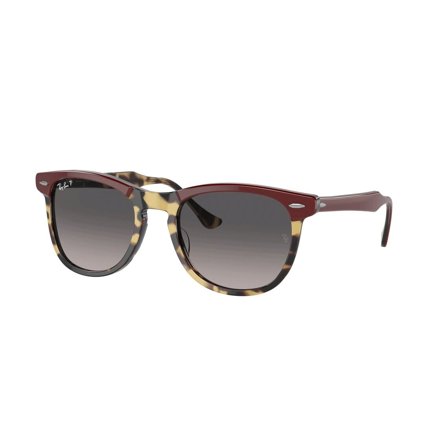 Ray-Ban Eagleeye -Aurinkolasit - Speckled Round - Ray-Ban RB2398 1377M3 5321