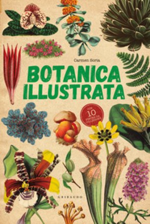 Botanica illustrata. Con 10 poster Carmen Soria