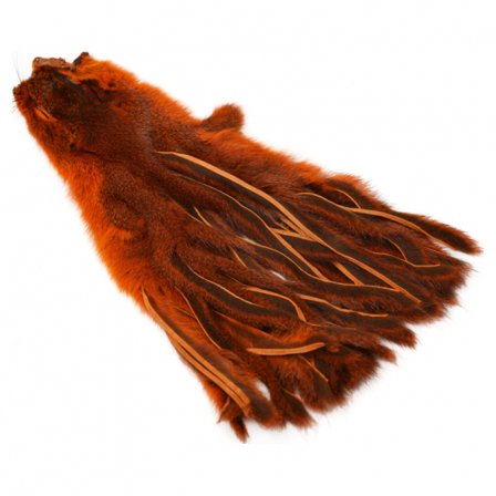 Pine Squirrel Skin Zonked - Orange