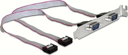 Delock Slotbracket > 2x serial - serielt panel - 9-pins serieheader til DB-9 - 27 cm