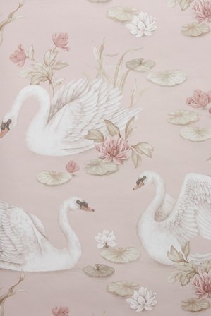 Newbie | Tapet Lily Swan | Lyserosa