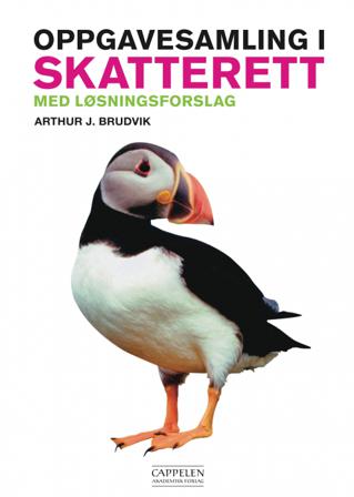 Oppgavesamling i skatterett med løsningsforslag - Bok av Arthur J. Brudvik - Paperback
