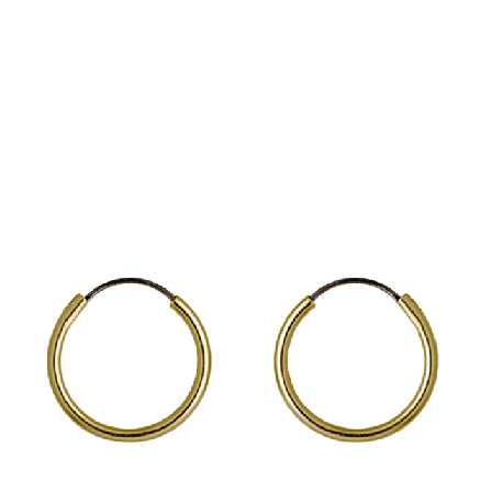 Pilgrim Örhängen, Sanne Smycken & klockor Dam Guld ONESIZE