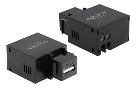 Delock Keystone module - modulinnlegg