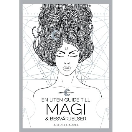 En liten guide till magi och besvärjelser 9789180372121