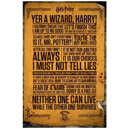 Harry Potter Poster Quotes 263