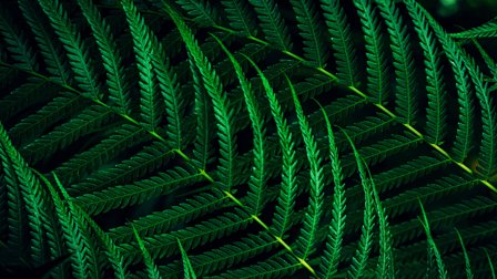 Philips 24B2G5200/00