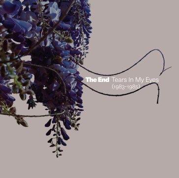 Tears in my eyes (1983-1985) The End
