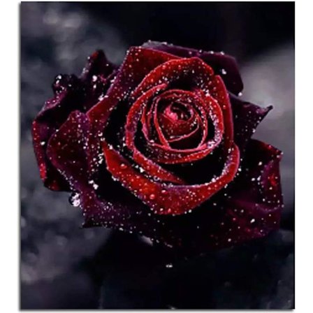 (12X12 tuumaa/30X30CM) DIY 5D Timanttimaalaus Ristinommel Timanttimaalaus Sarjat Olohuoneen Makuuhuoneen Koriste Seinätarra, Vaaleanpunainen