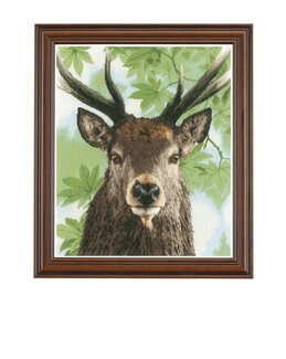 Bild Rothirsch - Lanarte