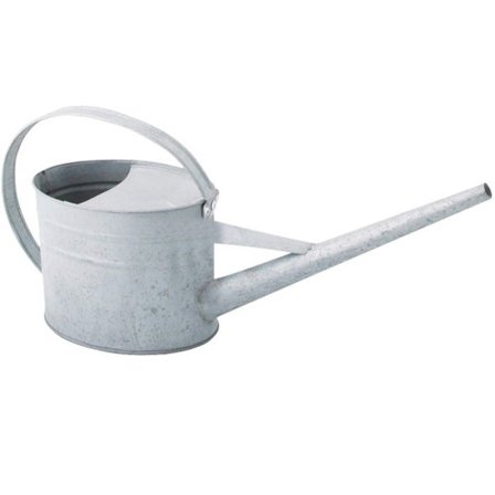 Sisäkäyttöön tarkoitettu kastelukannu - ESSCHERT DESIGN - Sinkki - Tarkka suihku - Rajoittaa lammikoita - 0,4 kg