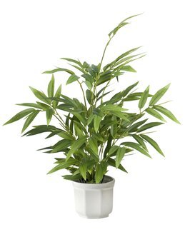 Kunstplante Bambus Grønn