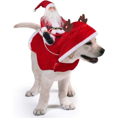 Jul Liten Hund Jultomten Röd Tröja Kappa