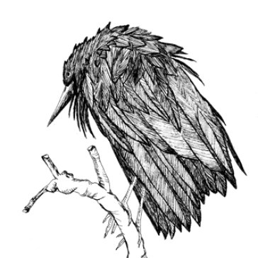 Little sparrow Spiral Joy Band