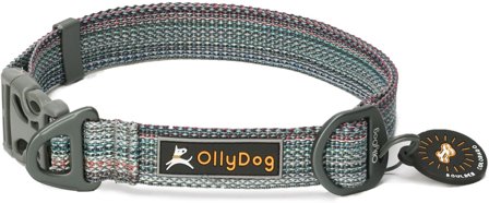 OllyDog Flagstaff Collar - Repurpose Prism - OllyDog