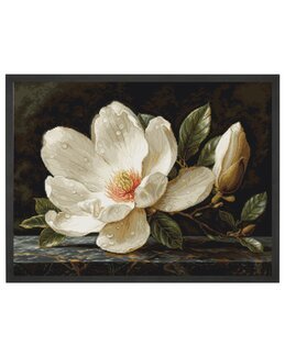 Kirjontapakkaus Taulu Magnolia Dew-Luca-S