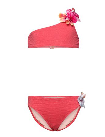 Naja Pink Molo