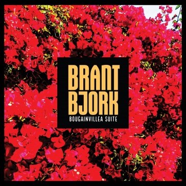 Bougainvillea suite Brant Bjork