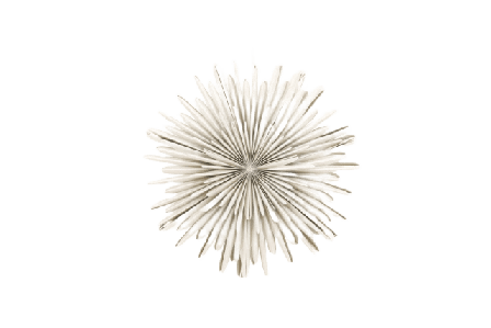 Venture Home Sälen Adventsstjärna Julbelysning Unisex Beige 60 cm