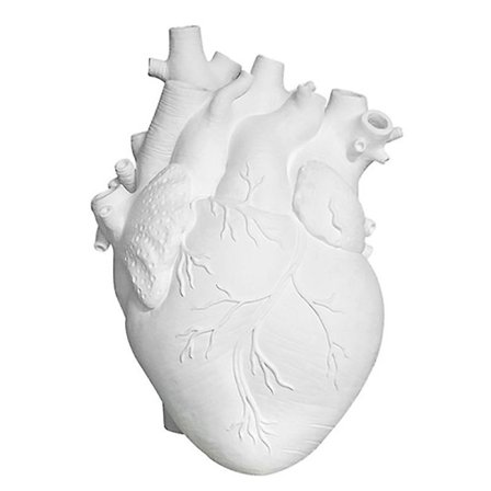 Anatomisk Hjerteformet Vase Nordisk Blomsterpotte Kroppskunst Vase -s