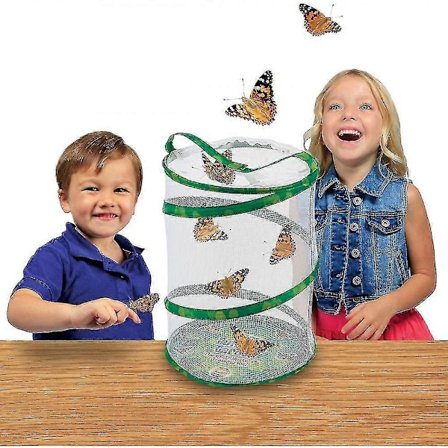 Sommerfugl- og larvehus, naturfag og utdanning