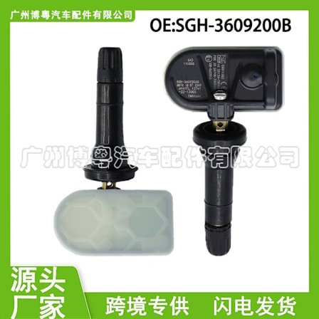 stk. SGH-3609200B til BYD TPMS dæktrykssensor auto dele~0341